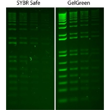 GelGreen®核酸染色剂10000X水，0.5ML，SCT125，密理博