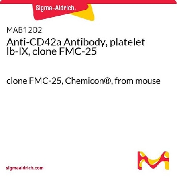 Anti-CD42a Antibody, platelet lb-IX, clone FMC-25，100UG，MAB1202，Sigma