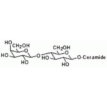 Lactosyl Ceramide, Bovine，1MG，427572-1MGCN，Sigma