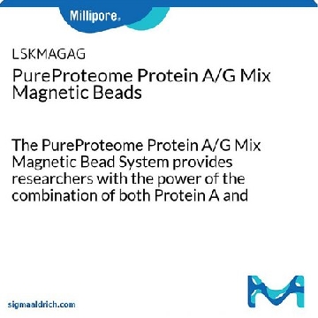 PureProteome蛋白A/G混合磁珠，10ML，LSKMAGAG10，密理博