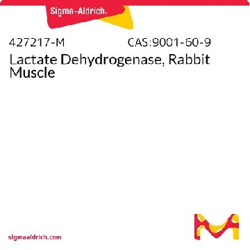 Lactate Dehydrogenase, Rabbit Muscle，25KU，427217-25KUCN，Sigma