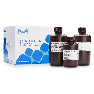 mPAGE® Lux Bis-Tris Reagent Kit，1KIT，LUXRGTKIT，密理博