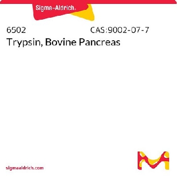 Trypsin, Bovine Pancreas，25MU，6502-25MUCN，Sigma