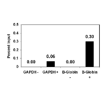 ChIPAb+ Monomethyl-Histone H3 (Lys27) - ChIP Validated Antibody and Primer Set，25ASSAYS，17-643，Sigma
