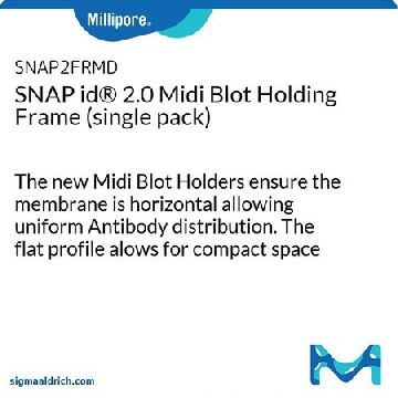 SNAP id® 2.0 Midi Blot Holding Frame (single pack)，1PKG，SNAP2FRMD01，密理博