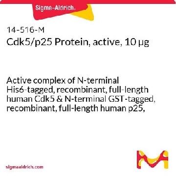 Cdk5/p25 Protein, active, 10 µg，10UG，14-516，Sigma