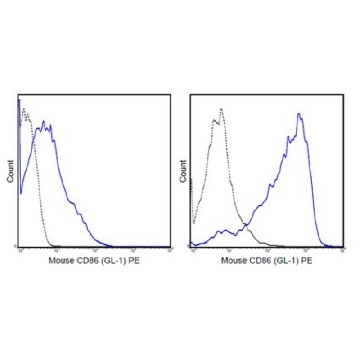 Anti-CD86 (B7-2) Antibody (mouse), PE, clone GL-1，100UG，MABF458，Sigma