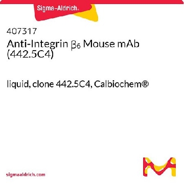 抗整合素β₆ 小鼠单克隆抗体（442.5C4），100UL，407317-100ULCN，Sigma
