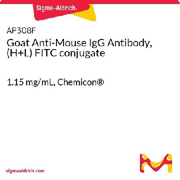 山羊抗小鼠IgG抗体，（H + L）FITC共轭，1ML，AP308F，Sigma
