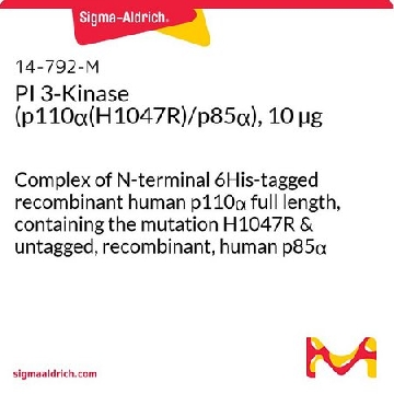 PI 3-Kinase (p110α(H1047R)/p85α), 10 µg，10UG，14-792，Sigma
