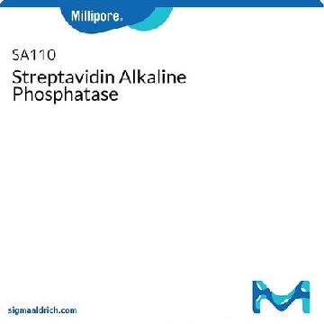 Streptavidin Alkaline Phosphatase，1MG，SA110，密理博