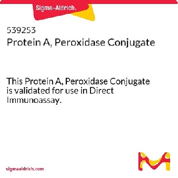 Protein A, Peroxidase Conjugate，1MG，539253-1MGCN，Sigma