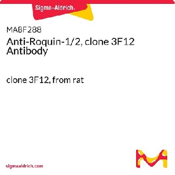 抗Roquin-1/2抗体（克3F12），100UG，MABF288，Sigma