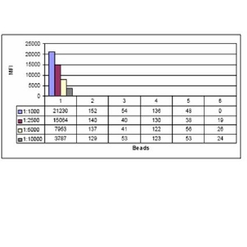 抗磷酸CENP-A（Ser7）抗体，克隆NL41，兔单克隆，25UL，04-792-25UL，Sigma