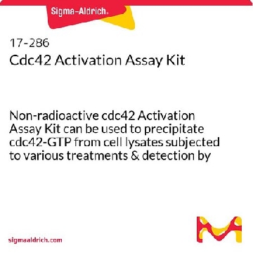 Cdc42 Activation Assay Kit，1KIT，17-286，Sigma