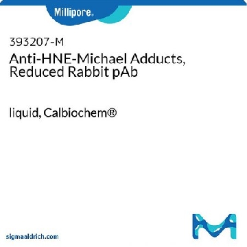 Anti-HNE-Michael Adducts, Reduced Rabbit pAb，100UL，393207-100ULCN，密理博