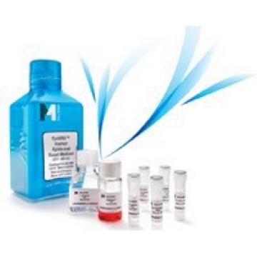 FIBROGRO® Complete Media Kit for Culture of Human Fibroblasts，500ML，SCMF001，Sigma
