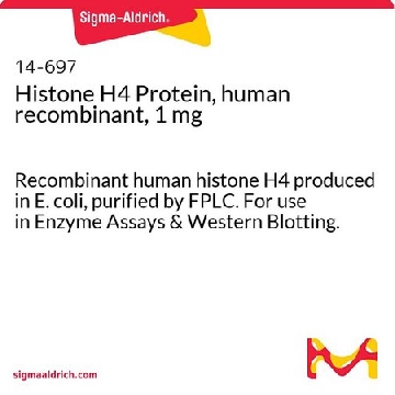 人重组组蛋白H4蛋白，1 mg，1MG，14-697，Sigma