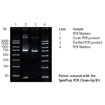 SpinPrep PCR Clean-up Kit，100REACTIONS，70976-3CN，密理博