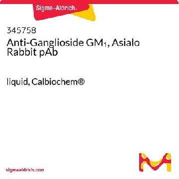 Anti-Ganglioside GM₁, Asialo Rabbit pAb，100UL，345758-100ULCN，Sigma