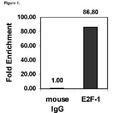 ChIPAb+ E2F-1 - ChIP Validated Antibody and Primer Set，25ASSAYS，17-10061，Sigma