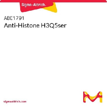 Anti-Histone H3Q5ser，100UL，ABE1791-100UL，Sigma