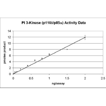 PI3 Kinase (p110β/p85α) Protein, active, 20 µg，250UG，14-603M，Sigma