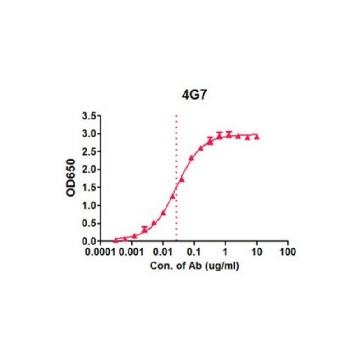 Anti-EBOV GP Antibody, clone 4G7，100UG，MABF2111-100UG，Sigma