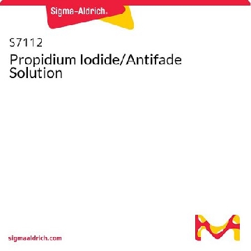 Propidium Iodide/Antifade Solution，1ML，S7112，Sigma