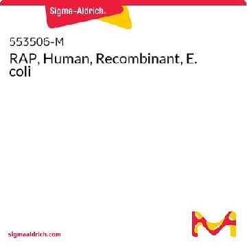 RAP，人，重组，大肠埃希菌，50UG，553506-50UGCN，Sigma