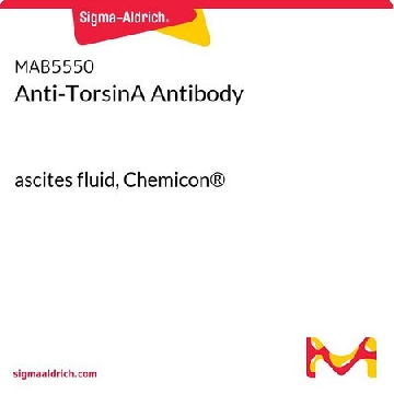 Anti-TorsinA Antibody，100UL，MAB5550，Sigma