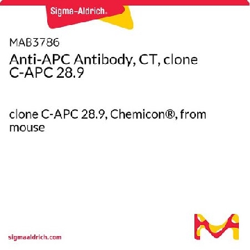 抗APC抗体，CT，克隆C-APC 28.9，25UG，MAB3786-25UG，Sigma