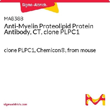 Anti-Myelin Proteolipid Protein Antibody, CT, clone PLPC1，100UG，MAB388-100UG，Sigma
