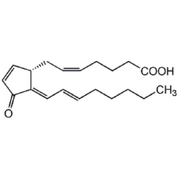15d-PGJ₂，1MG，538927-1MGCN，Sigma