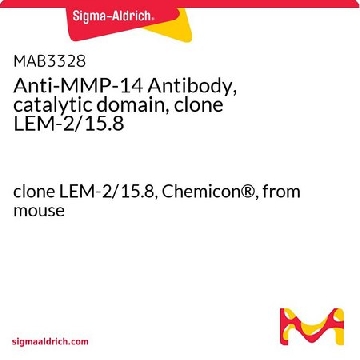 抗MMP-14抗体，催化域，克隆LEM-2 / 15.8，25UG，MAB3328-25UG，Sigma