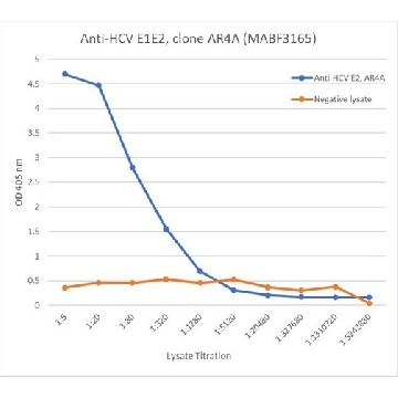 Anti-HCV E1E2 Antibody, clone AR4A，100UG，MABF3165-100UG，Sigma