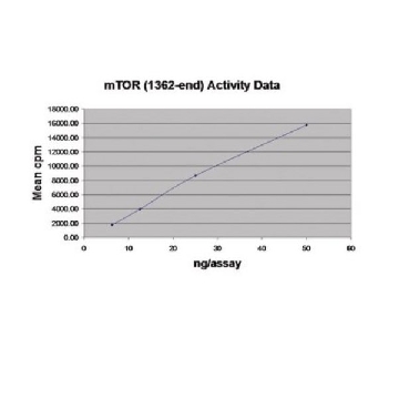 mTOR（1362端）蛋白，活性，10 µg，10UG，14-770，Sigma