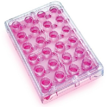 Millicell® 24孔板，1EA，PSRP010R1，密理博