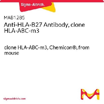 抗-HLA-B27,Cln HLA-ABC-m3（小鼠单克隆），100UG，MAB1285，Sigma