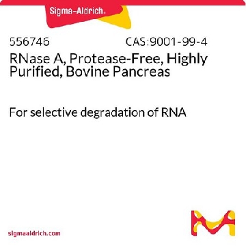 RNase A，无蛋白酶，高度纯化，牛胰腺，10KU，556746-10KUCN，Sigma