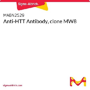 Anti-HTT Antibody, clone MW8，100UG，MABN2529-100UG，Sigma