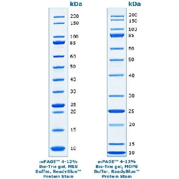 mPAGE® Unstained Protein Standard，500UL，MPSTD3，密理博