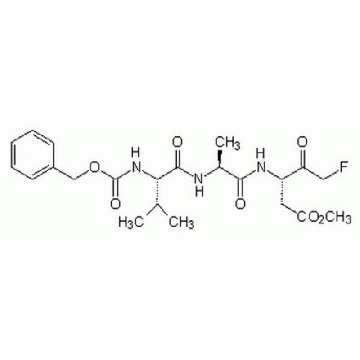 半胱天冬酶抑制剂I，1MG，627610-1MGCN，Sigma