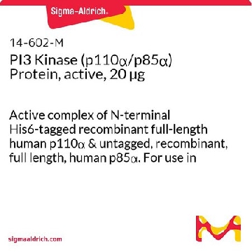 PI3激酶（p110α/p85α），人，活性，20 µg，20UG，14-602，Sigma