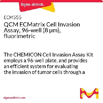 QCM ECMatrix细胞侵袭试验，96-孔（8 µm），荧光法，1PLATE，ECM555，Sigma