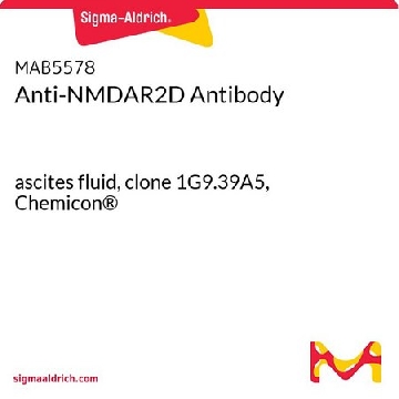 抗-NMDAR2D抗体，100UL，MAB5578，Sigma