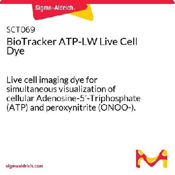 BioTracker ATP-LW Live Cell Dye，1MG，SCT069，Sigma