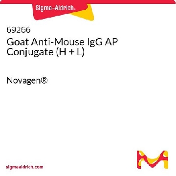 Goat Anti-Mouse IgG AP Conjugate (H + L)，40UL，69266-3CN，Sigma