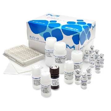 Luminata Forte ELISA HRP底物；100 mL，100ML，ELLUF0100，密理博