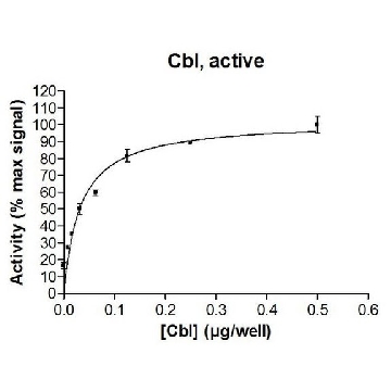 c-Cbl Protein, active, 10 µg，10UG，23-041，Sigma